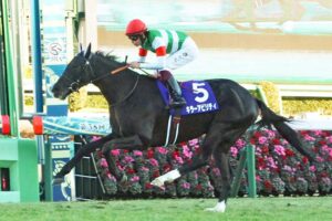 【富士S／全頭診断】馬券妙味は「2.1.0.0」条件合致の5歳馬 ブランク明けステラヴェローチェの評価は