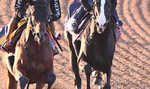 【天皇賞（秋）】イクイノックス　鞍上絶賛の動き　ルメール「体は宝塚記念の前よりいい」　　