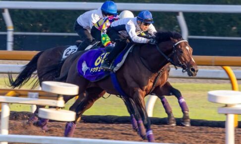 【天皇賞】ドウデュース鋭伸最先着　武豊も絶賛「軽くゴーサインを出しただけで」