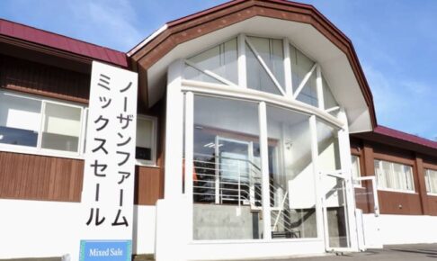 【ミックスセール2023】当歳セッションは15億2800万円の売り上げ…44頭上場で落札率は100%