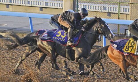 イクイノックス気迫十分　競馬の天皇賞・秋追い切り