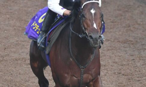 【天皇賞】ドウデュース、疑う余地なし万全　22年ダービー以来激アツ再戦　武豊「馬上礼したいよね」