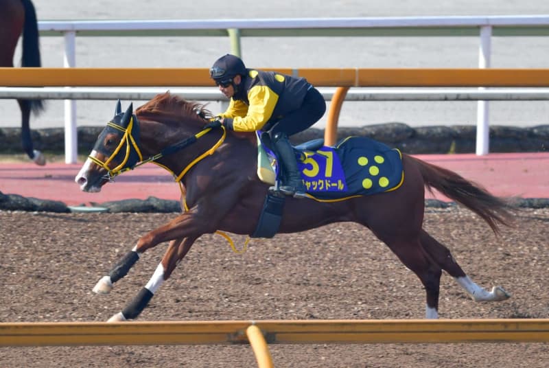 【天皇賞】ジャックドール、鋭伸ラスト1F11秒0 藤岡師「過去イチ」GI2勝目を狙う 【天皇賞】ジャックドール、鋭伸ラスト1F11秒0 藤岡師「過去イチ」GI2勝目を狙う