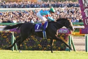 天皇賞秋イクイノックス01_(C)T.Yanagi_20231029