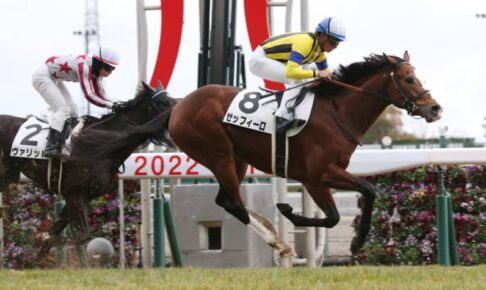 【アルゼンチン共和国杯登録馬】ゼッフィーロなど22頭