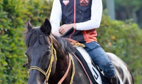 【アルゼンチン共和国杯】ディアスティマ“一戦必勝”態勢　5カ月ぶりでも仕上げに自信あり