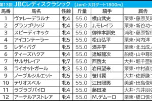 JBCレディスクラシック2023出走馬