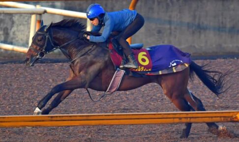 【エリザベス女王杯】ジェラルディーナ　ラスト反応良し　初の京都「坂の勢いがうまく作用してくれたら」