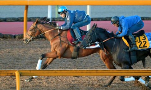 【エリザベス女王杯】ブレイディヴェーグ　重賞未勝利から一気に頂点　宮田師「G1勝てるだけの力を持っている」