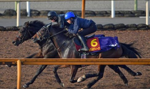 【エリザベス女王杯】ジェラルディーナ、連覇仕上げ　斉藤崇師好感触「万全の状態」