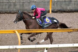 【マイルCS】セリフォス、間に合った！連覇へ態勢万全　中内田師「力は発揮できる状態」