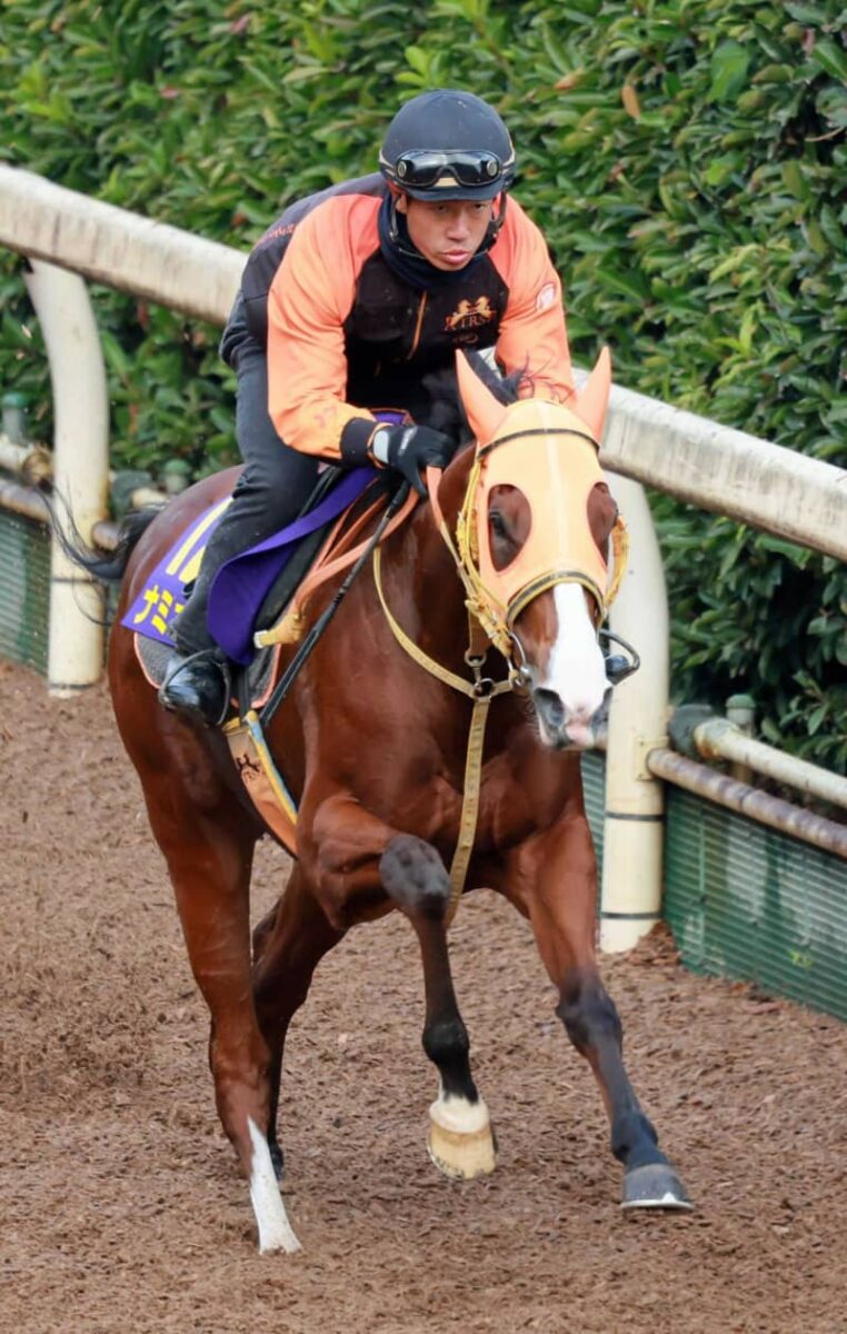 【マイルCS】ナミュール、完成の域　悲願のG1Vへ上昇　高野師「万全でしょう」