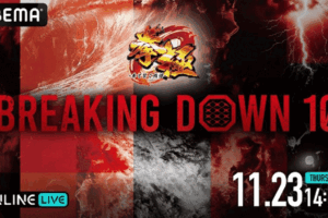 【BreakingDown10】11月23日 対戦カード、試合結果一覧