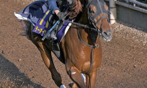 【チャンピオンズC】テーオーケインズ　奪冠デモ手応え抜群！調子上昇　「前走より状態は上がっている」