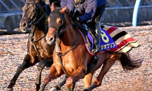 【チャンピオンズC】ジオグリフ　気力十分　芝＆砂G1Vへ　強度＆活気前回より上　木村師「狙い通り」