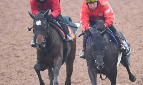 【阪神JF】キャットファイト　切れてる鋭い末脚　前走で2歳レコードV「阪神の外回りも合う」