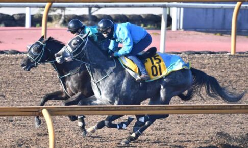 【阪神JF】アスコリピチェーノ軽快 負荷かけ充実「体調面、精神面がすごく良かったので」