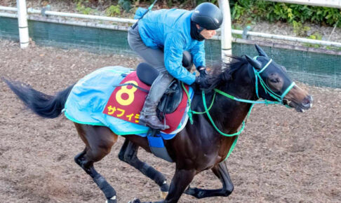 【阪神JF】サフィラ万全　1週前に栗東CW猛時計→最終追い軽快加速「今のところ言うことない」