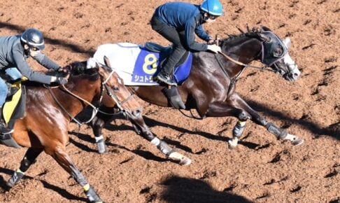 【朝日杯FS】シュトラウス　超抜4F50秒4！美浦坂路リニューアル後レコードタイ　武井師「やっぱり能力ある」