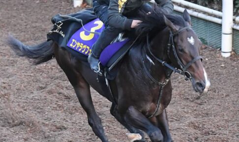【朝日杯FS】エンヤラヴフェイス　力強い動きで2馬身半先着　森田師「馬が柔らかく持久力もある」