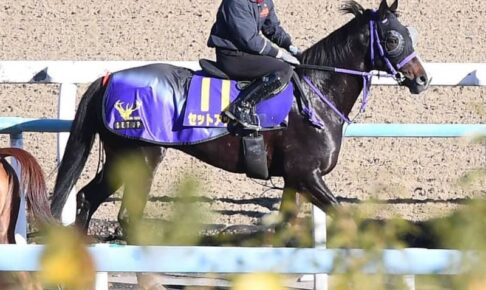 【朝日杯FS】セットアップ　3頭併せで馬なりのまま最先着　鹿戸師、距離短縮で折り合い面の進境に期待