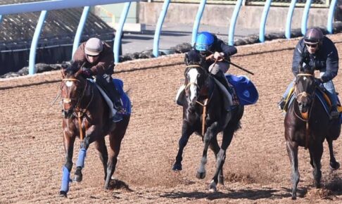 【有馬記念】タスティエーラ滑らか加速　3頭併せ最先着　堀師「集中して走れていました」