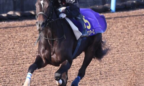【有馬記念】スターズオンアース上昇一途　順調をアピール　僚馬2頭に1馬身半「時計も想定通り」
