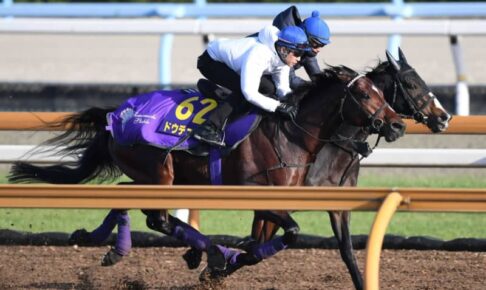 【有馬記念】ドウデュース　武豊鞍上にラスト1F11秒0　「自分にとって心の支えでした」満点評価