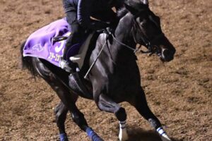 【有馬記念】スターズオンアース予定通り　後傾ラップでダイナミックに登坂