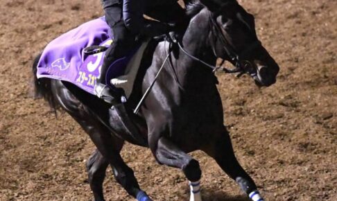 【有馬記念】スターズオンアース予定通り　後傾ラップでダイナミックに登坂