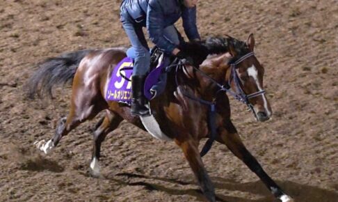 【有馬記念】ソールオリエンス再び輝く　適条件＆川田と初タッグで反撃準備着々　スムーズに加速、目立つ馬体の張り