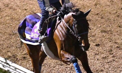 【有馬記念】スルーセブンシーズ　美浦坂路で軽快　凱旋門賞4着以来に尾関師「この馬らしい動きはしてくれている」