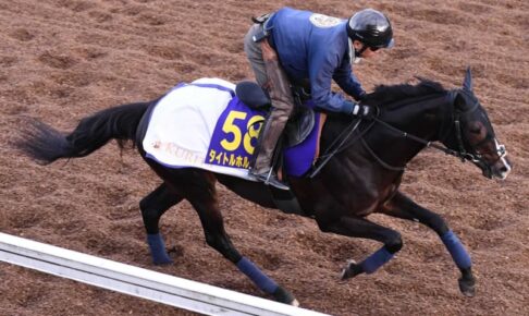 【有馬記念】タイトルホルダー有終へ不安なし　在厩調整も陣営「乗り手もビックリするぐらいに順調に来ています」