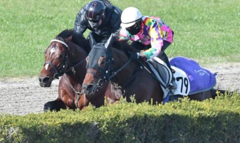 【有馬記念】ドウデュース　仕上がりに太鼓判　伸び脚で好調　友道師「一番いい状態」　〝逆襲の末脚〟をもう一度