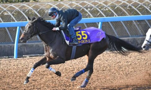 【有馬記念】スターズオンアース　理想的　反応抜群　ルメール「トップコンディション」　高柳師「今回もいい状態」