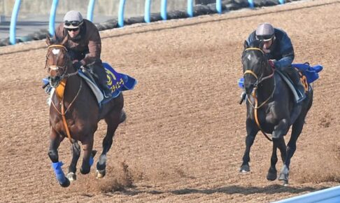 【有馬記念】タスティエーラ　完璧リハ　堀師合格点「調教の質と量は十分、いいメンタルでレースに臨めそう」