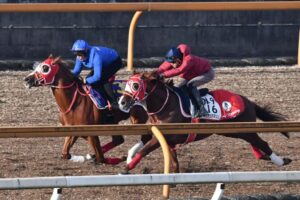 【ホープフルS】シンエンペラー　余裕の手応え　「能力はものすごくある」　無傷3連勝でのGⅠ制覇へ期待