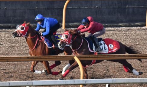 【ホープフルS】シンエンペラー　余裕の手応え　「能力はものすごくある」　無傷3連勝でのGⅠ制覇へ期待