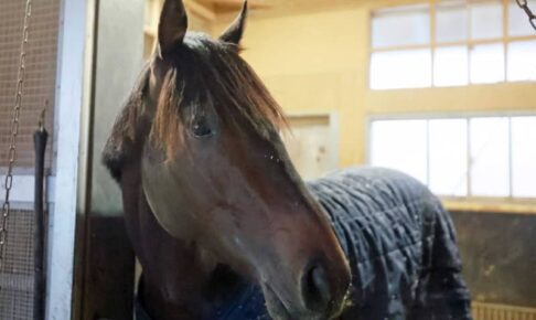 【ホープフルS】武豊　センチュリボンドでJRA平地G1完全制覇だ　「乗り味のいい馬」復活有馬Vから前人未到の伝説へ