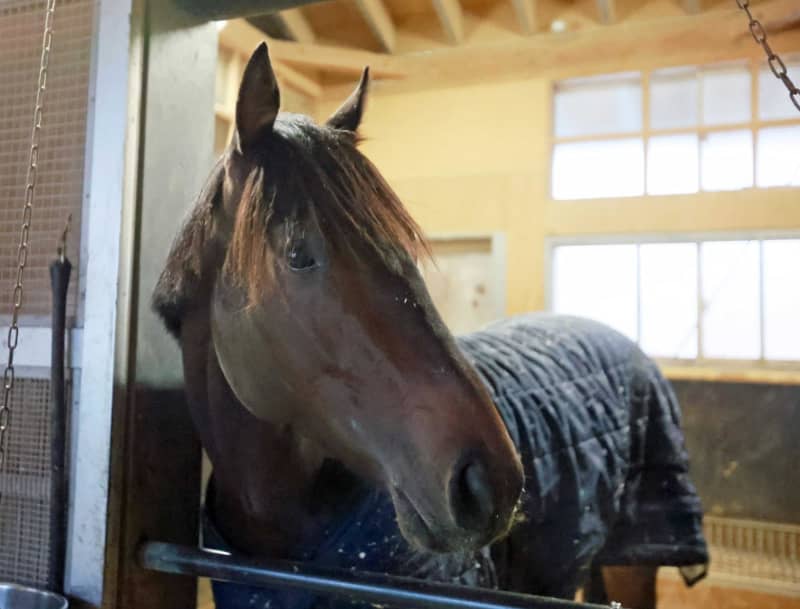 【ホープフルS】武豊 センチュリボンドでJRA平地G1完全制覇だ 「乗り味のいい馬」復活有馬Vから前人未到の伝説へ 【ホープフルS】武豊 センチュリボンドでJRA平地G1完全制覇だ 「乗り味のいい馬」復活有馬Vから前人未到の伝説へ