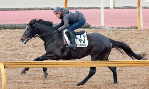 【中山金杯】マテンロウレオ馬なりも力強く　昆師「有馬記念に使うつもりで仕上げていたから」