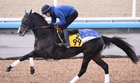 【中山金杯】エピファニー右肩上がり　力感あふれる動き披露