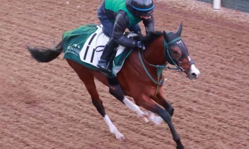 【京都金杯】アルナシーム軽快　前走Vの淀で重賞初制覇へ　橋口師「平たんコースは向きますから」