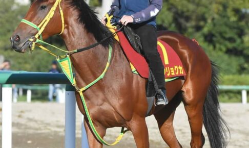 【日経新春杯】シンリョクカ　牡馬蹴散らす　木幡初「足をすくうチャンスはあると思います」