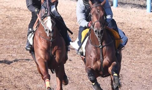 【日経新春杯】ハーツコンチェルト　精神面課題　武井師「動きはいいけど、気持ちの面が」　待望のタイトル奪取へ