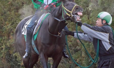 【AJCC】8歳馬マイネルウィルトス　まだまだお盛ん　近2戦がG2で②③着　宮師「強くなっている」