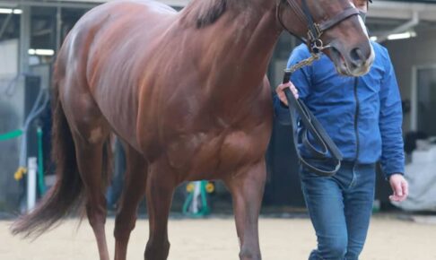 【AJCC】8歳馬ボッケリーニ　円熟味マシマシ　衰えはなく舞台も好相性　「G2なら能力は上位」