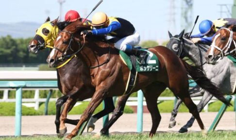 【AJCC登録馬】ボッケリーニなど13頭