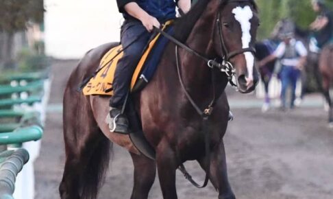 【AJCC】ラーグルフいざ再進撃　5カ月ぶり実戦も態勢万全　宗像師「いい動きでした」