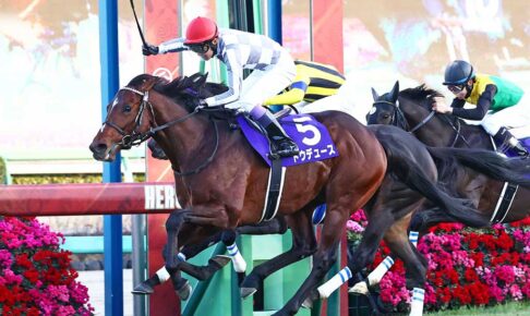ドウデュース／2023年有馬記念（C）Toshihiko Yanagi